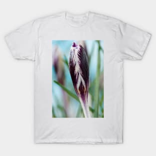 Crocus  'Spring Beauty' T-Shirt